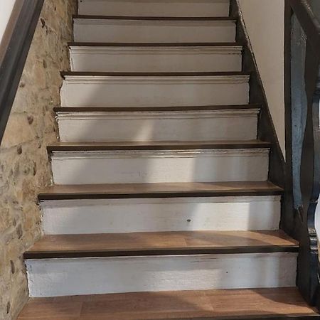 פיראן Studio Cebelica מראה חיצוני תמונה